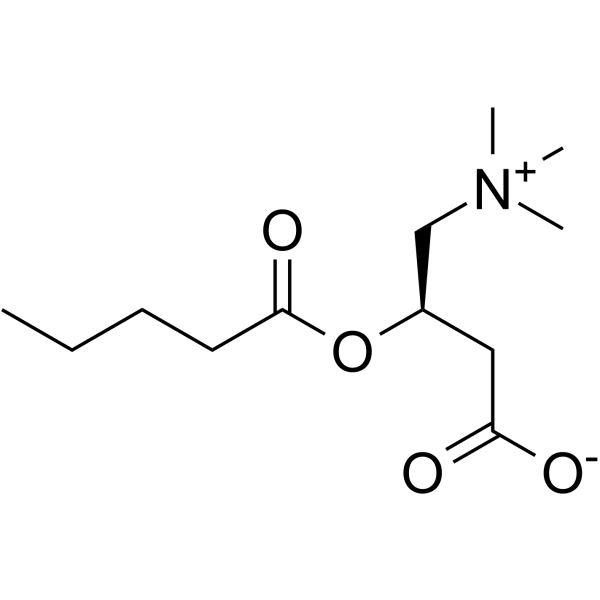Valerylcarnitine图片