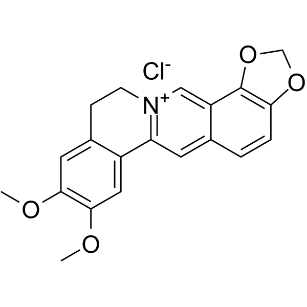 Epiberberine chloride图片