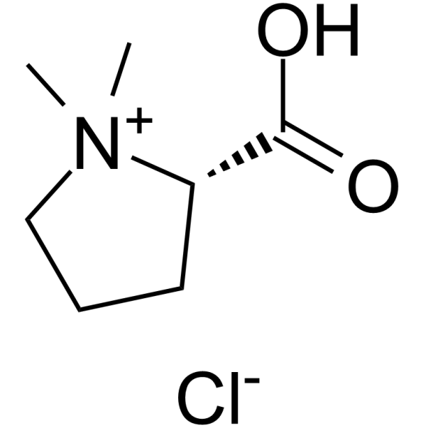Stachydrine Hydrochloride图片