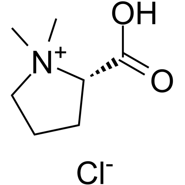 Stachydrine HydrochlorideͼƬ