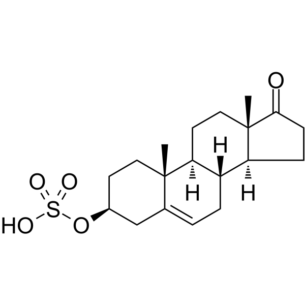 Dehydroepiandrosterone sulfate图片