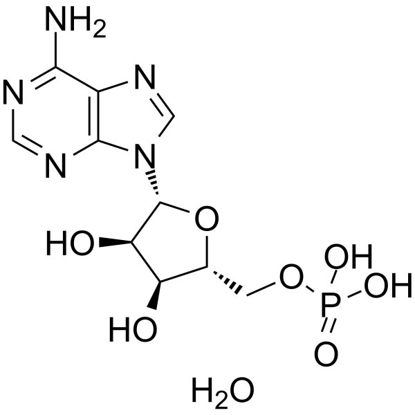 Adenosine 5'-monophosphate monohydrate图片