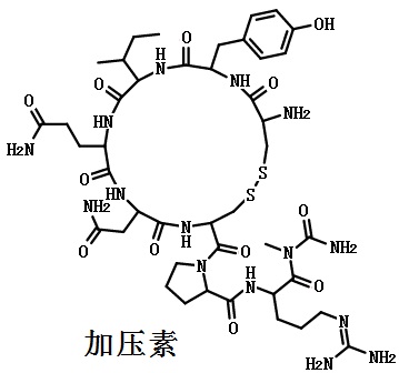 Vasopressin图片