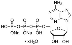 ATP disodium salt hydrate图片