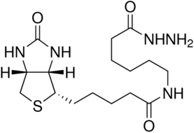 (+)-Biotinamidohexanoic acid hydrazide图片