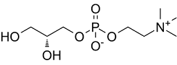 Choline glycerophosphate图片