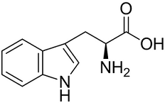 L-Tryptophan图片