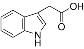 3-Indoleacetic acid图片