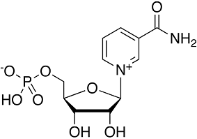 β-Nicotinamide mononucleotide图片