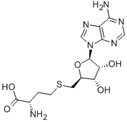 S-Adenosylhomocysteine图片
