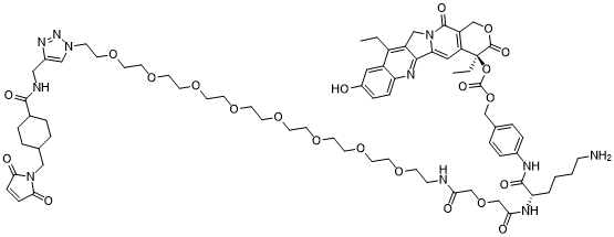 CL2A-SN-38图片