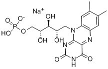 Riboflavin phosphate sodium图片