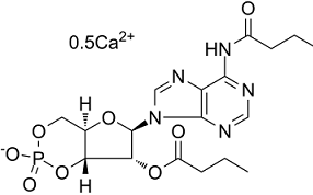 Bucladesine calcium图片