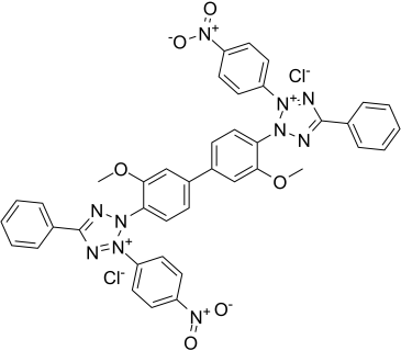 Nitrotetrazolium Blue chloride图片