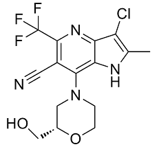 PF-06869206图片