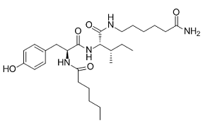 Dihexa图片