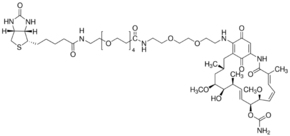 Geldanamycin-Biotin图片