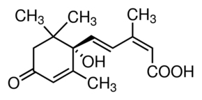 Abscisic Acid图片