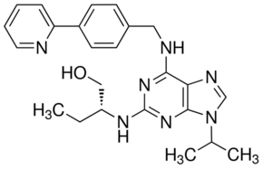 CR8图片