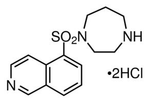 HA-1077 dihydrochloride图片
