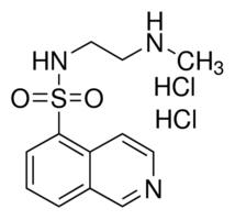 H-8 dihydrochloride图片