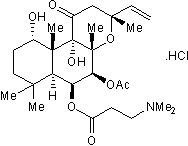 NKH 477图片