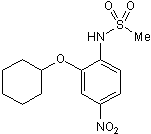NS 398图片