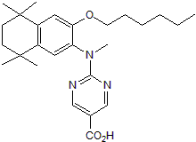 PA 452图片