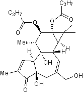 Phorbol 12,13-dibutyrate图片