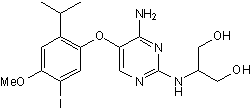 Ro 51图片