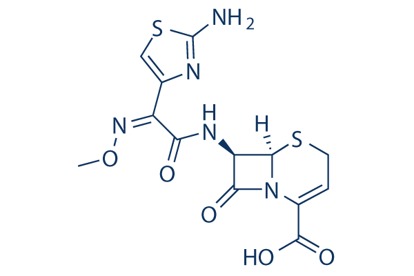 Ceftizoxime图片