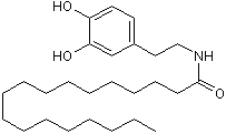 STEARDA图片