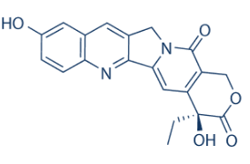 10-Hydroxycamptothecin图片