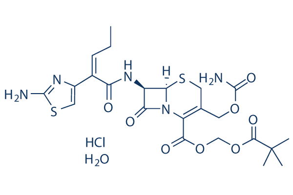 Cefcapene pivoxil hydrochloride图片