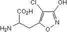 Cl-HIBO图片