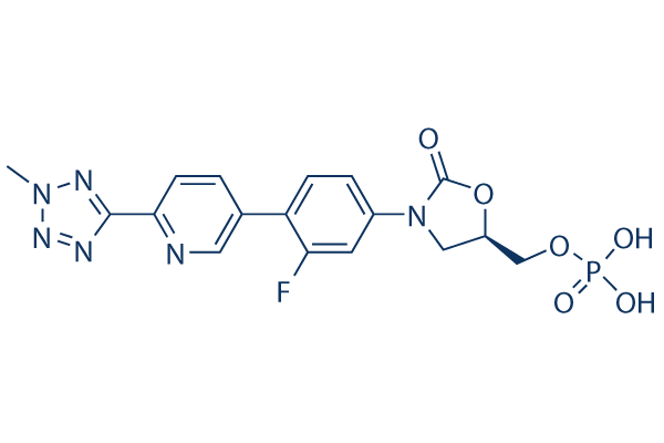 Tedizolid Phosphate图片