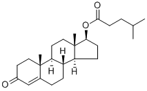 Testosterone isocaproate图片
