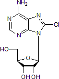 8-Chloroadenosine图片