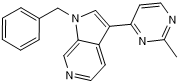AZ Dyrk1B 33图片