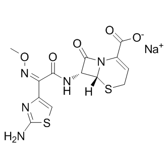 Ceftizoxime sodium图片