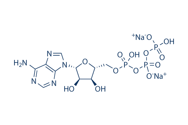 ATP disodium salt图片