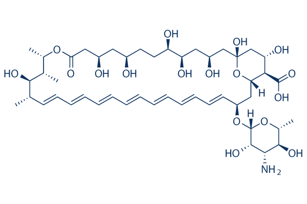 Amphotericin B图片