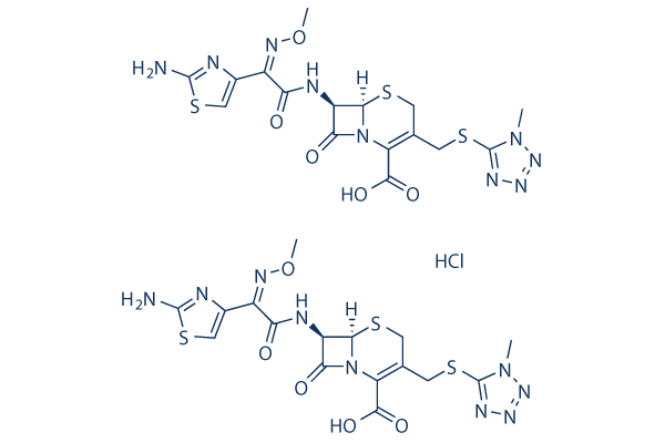 Cefmenoxime HCl图片