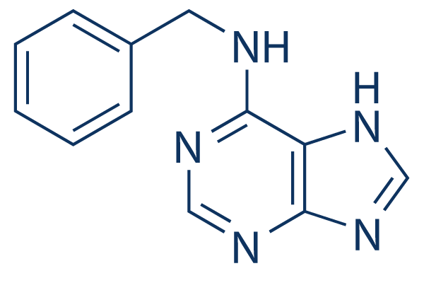 6-Benzylaminopurine图片