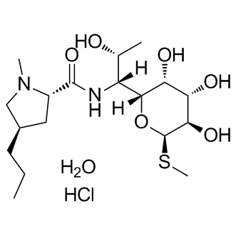 Lincomycin hydrate图片