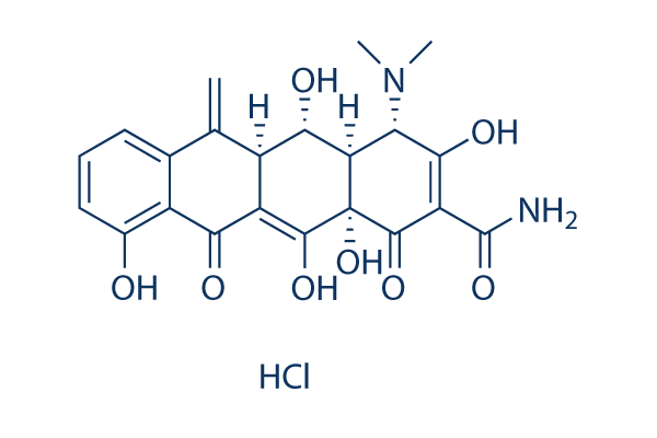 Methacycline HCl图片