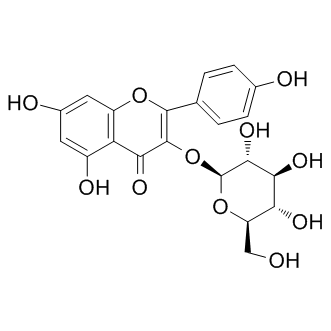 astragalin图片