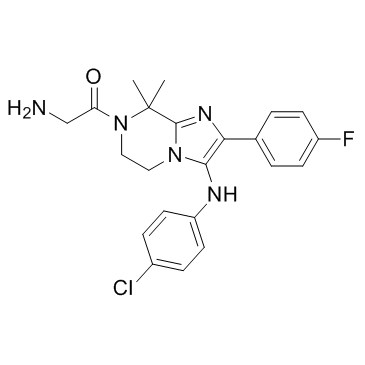 GNF179图片