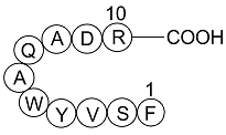 Scrambled 10Panx图片