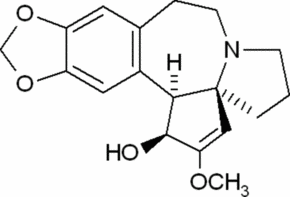 Cephalotaxine图片
